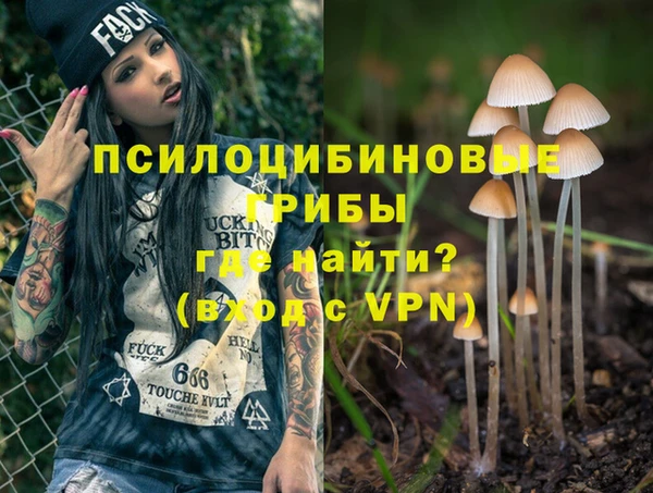 соль курить ск Новозыбков