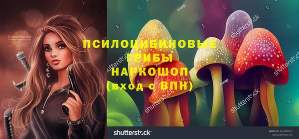 крисы Алексин