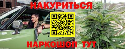 сатива Заводоуковск