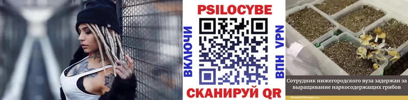 Галлюциногенные грибы мицелий Нижнекамск