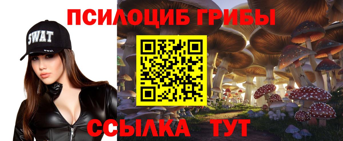 Галлюциногенные грибы Psilocybe  Вход с VPN  Нижнекамск  купить закладку  Псилоцибиновые грибы ЛСД 