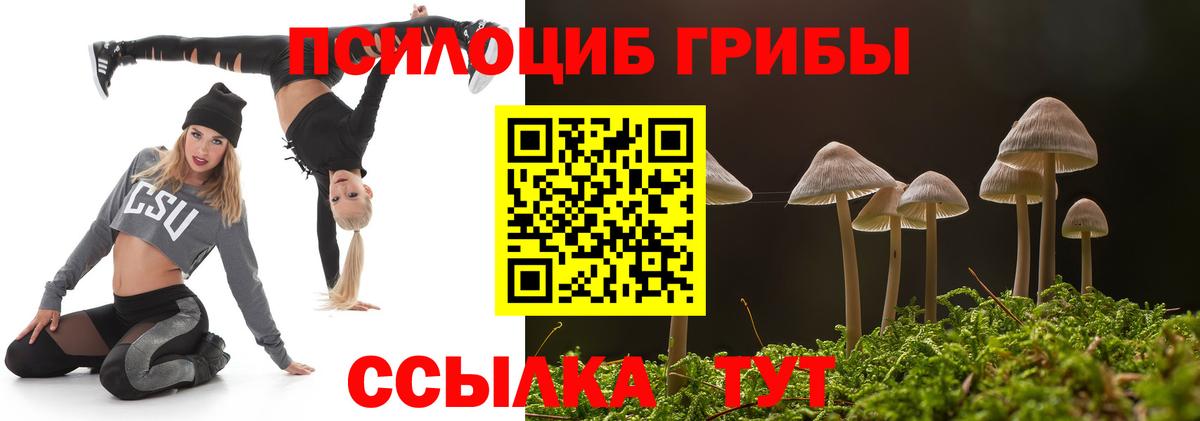 Галлюциногенные грибы мицелий Нижнекамск